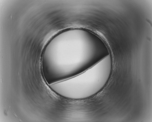 X0000103301183200808291123