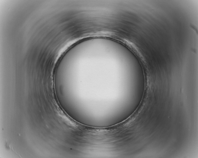 X0000103301184200808291123
