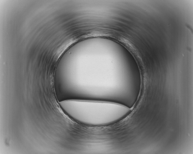 X0000103301185200808291123
