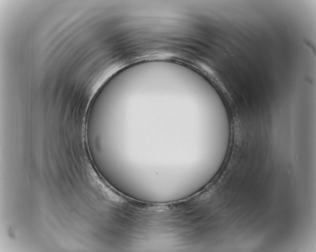 X0000103301186200808291123