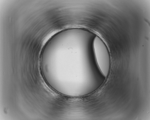 X0000103301187200808291123