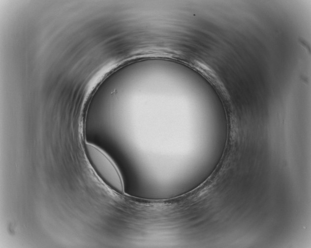 X0000103301188200808291123