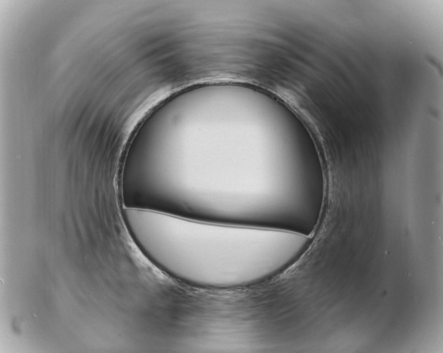 X0000103301189200808291123