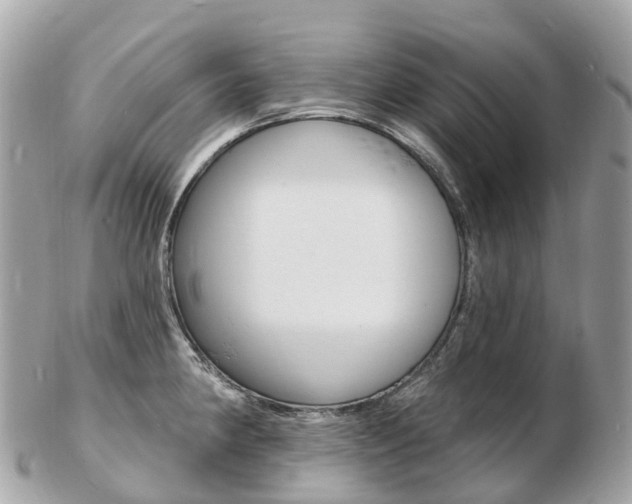 X0000103301190200808291123