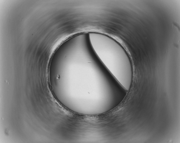 X0000103301191200808291123