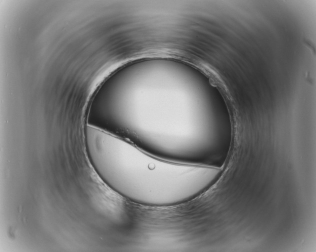 X0000103301192200808291123