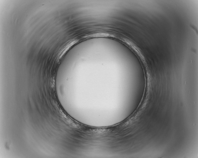 X0000103301193200808291123