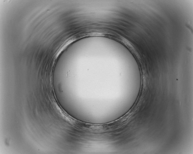 X0000103301194200808291123