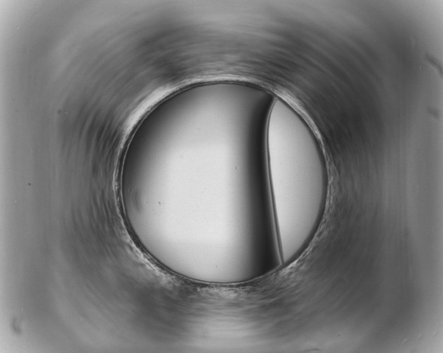 X0000103301197200808291123