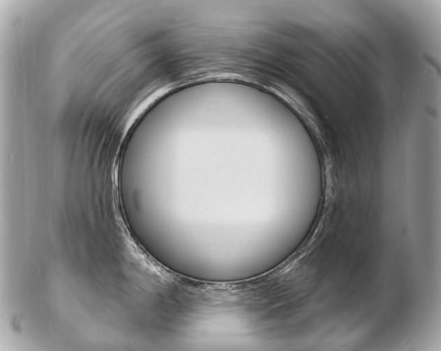 X0000103301198200808291123