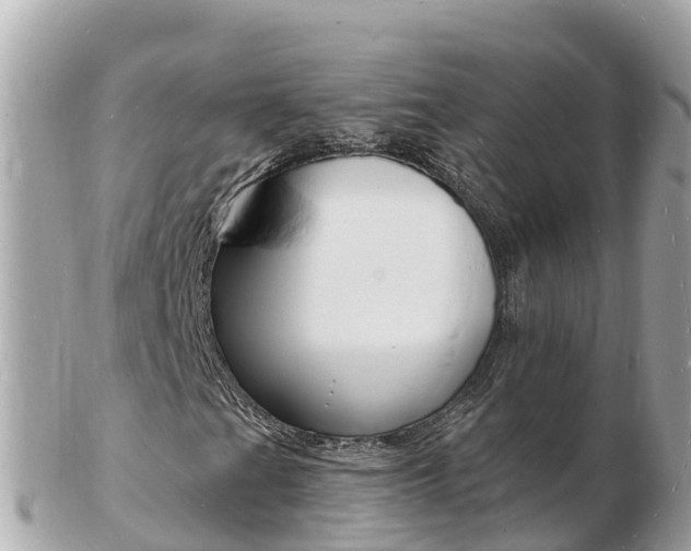 X0000103301201200808291123