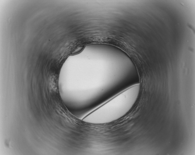X0000103301202200808291123