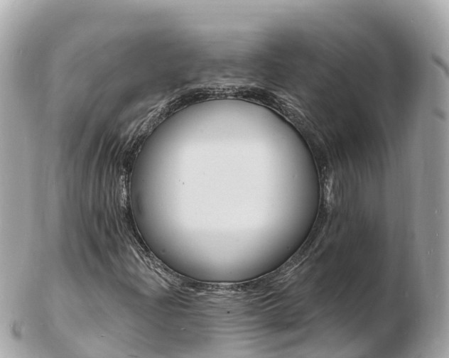X0000103301204200808291123