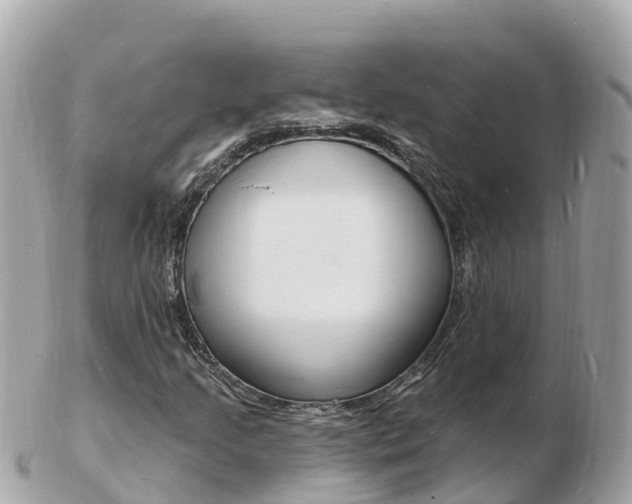 X0000103301205200808291123