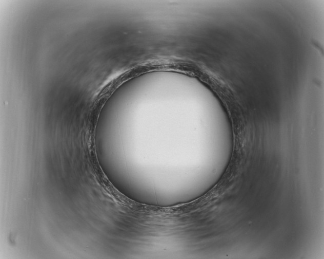 X0000103301206200808291123