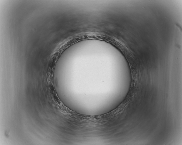 X0000103301207200808291123