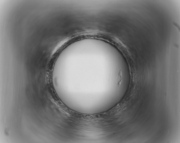 X0000103301208200808291123