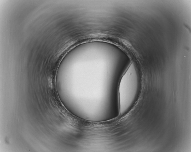 X0000103301209200808291123
