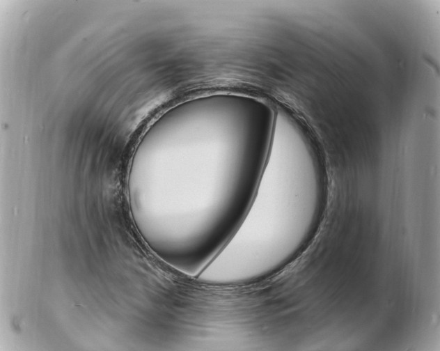 X0000103301210200808291123