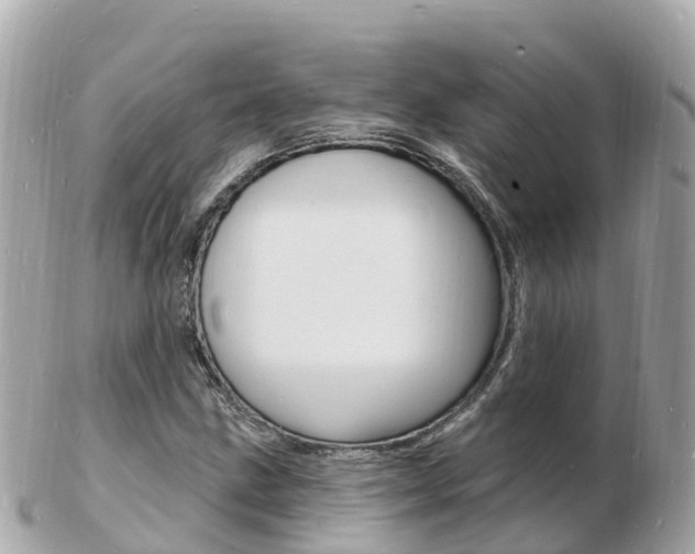 X0000103301211200808291123
