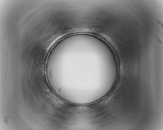X0000103301212200808291123