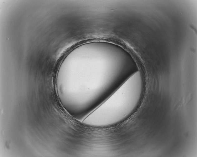 X0000103301214200808291123