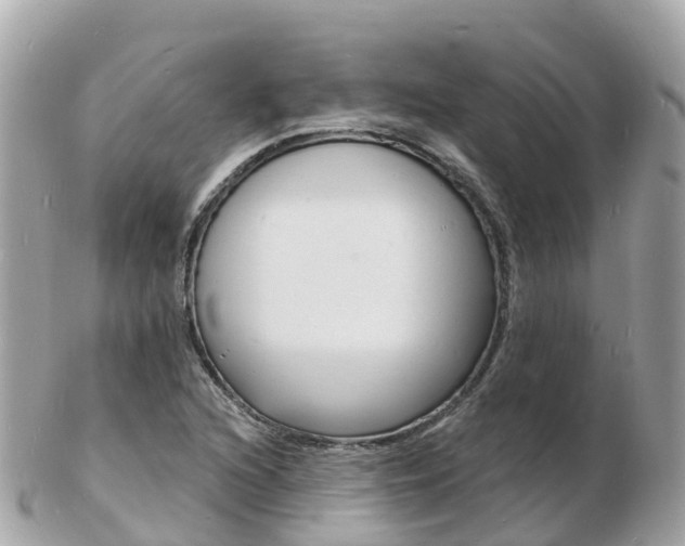 X0000103301216200808291123