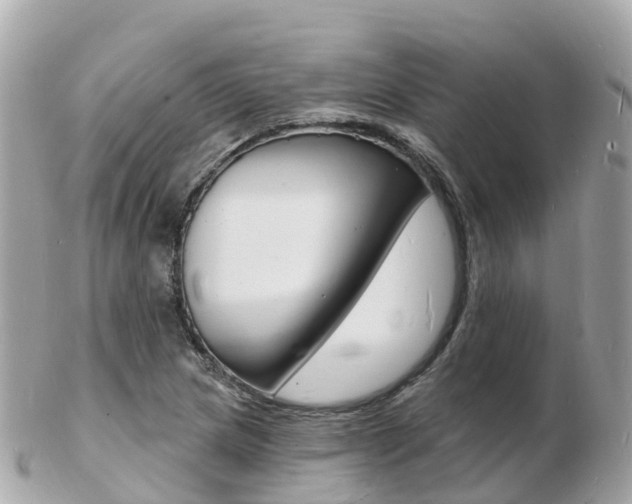 X0000103301217200808291123