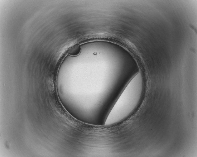 X0000103301218200808291123