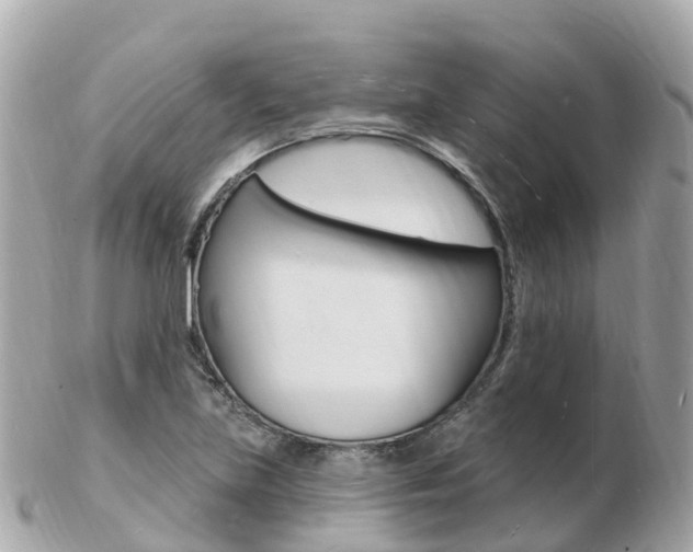 X0000103301219200808291123