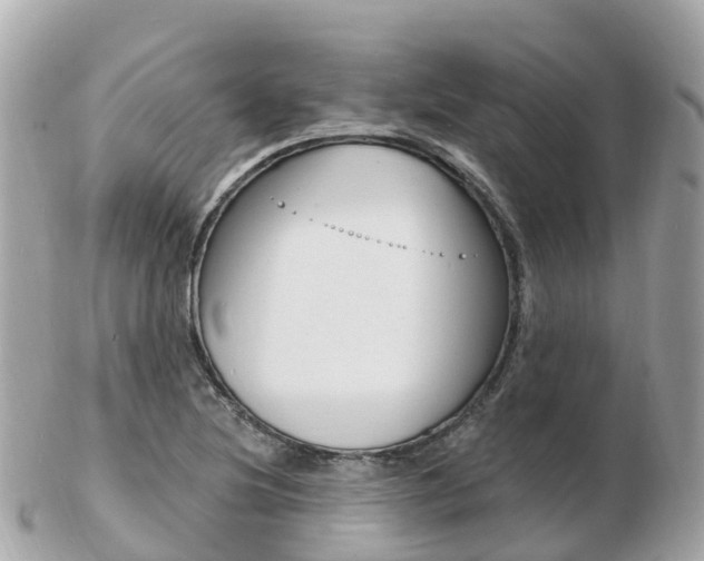 X0000103301220200808291123