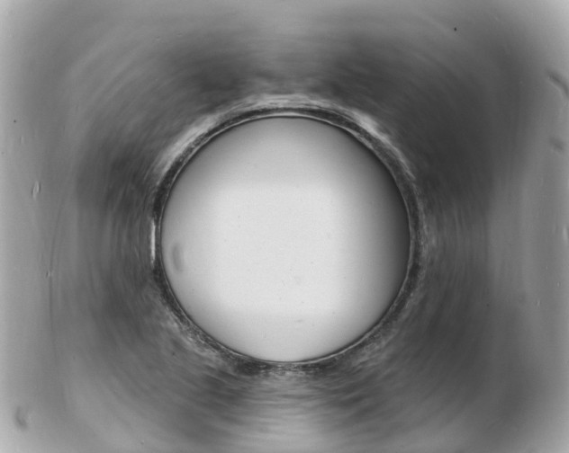 X0000103301221200808291123
