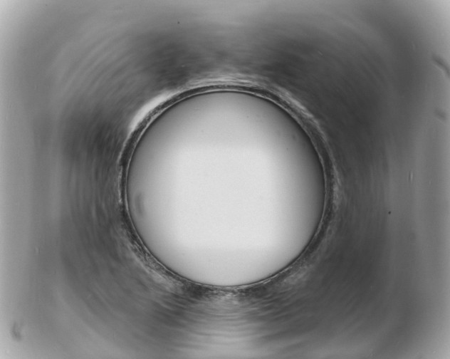 X0000103301222200808291123