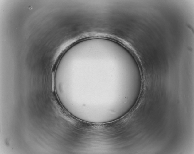 X0000103301223200808291123