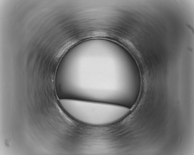 X0000103301225200808291123