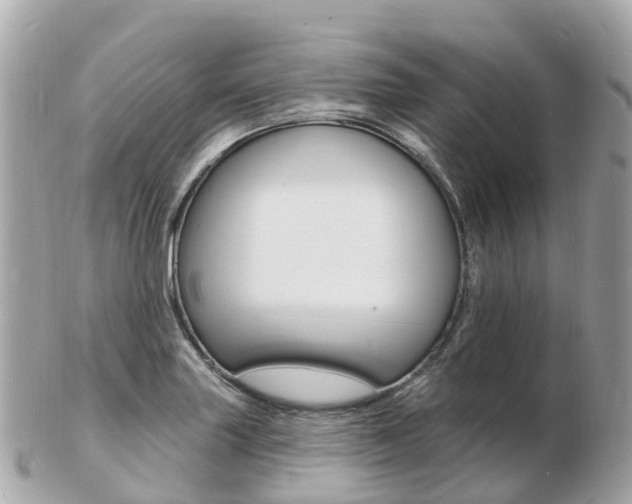 X0000103301227200808291123