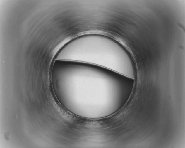 X0000103301229200808291123
