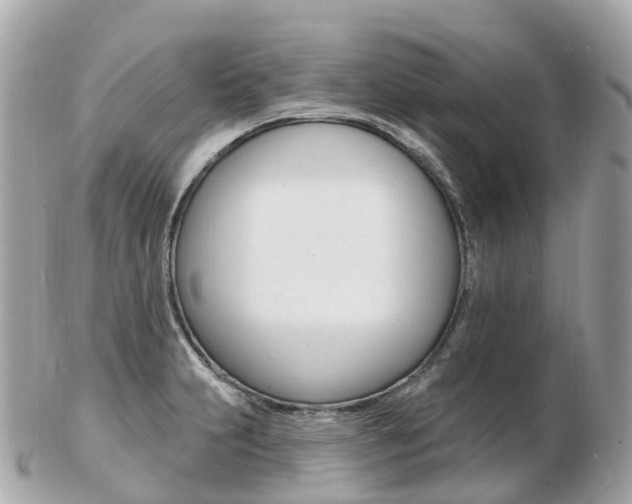 X0000103301231200808291123