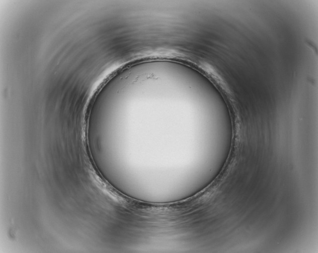 X0000103301232200808291123
