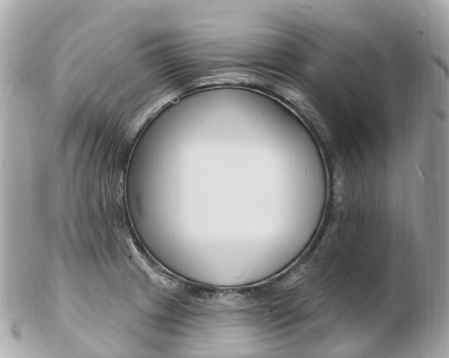 X0000103301233200808291123
