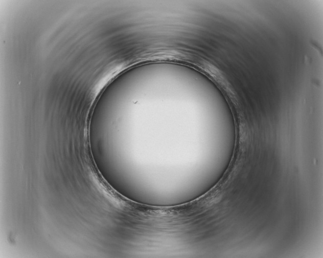 X0000103301234200808291123