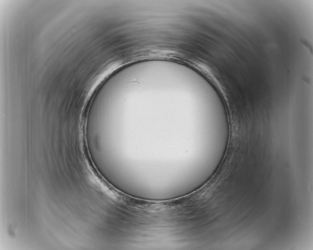 X0000103301235200808291123