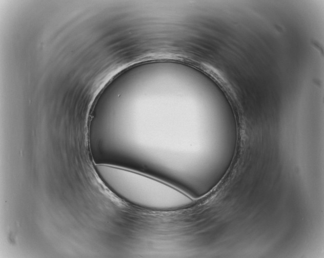 X0000103301236200808291123