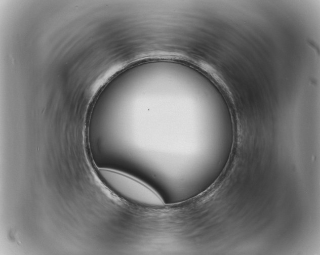 X0000103301237200808291123