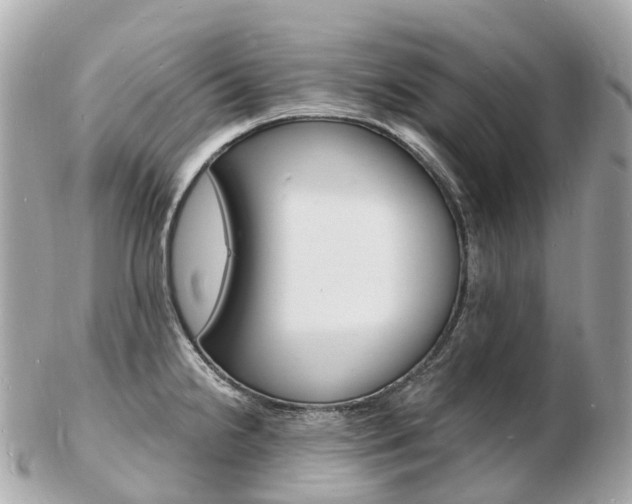 X0000103301238200808291123