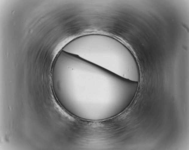 X0000103301239200808291123