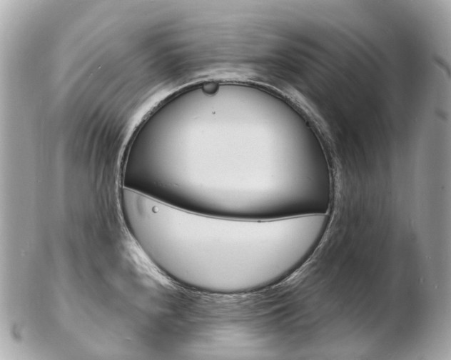 X0000103301240200808291123