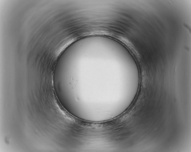 X0000103301241200808291123