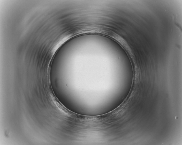 X0000103301242200808291123