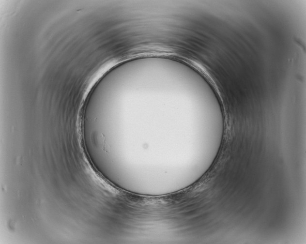 X0000103301243200808291123